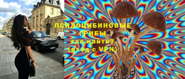 стаф Горно-Алтайск